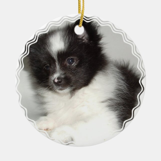 Toy Pomeranian Dog Ornament (Front)