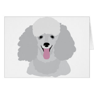 Toy Poodle