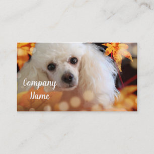 Toy Poodle Business Cards