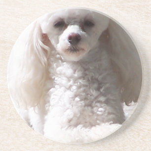 Toy Poodle Coaster