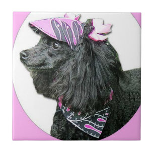 Toy Poodle Dog Tile