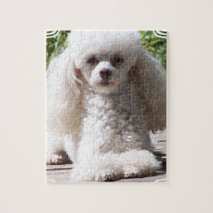 Toy Poodle Jigsaw Puzzle