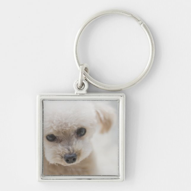 toy poodle key ring (Front)