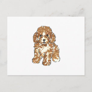 TOY POODLE POSTCARD