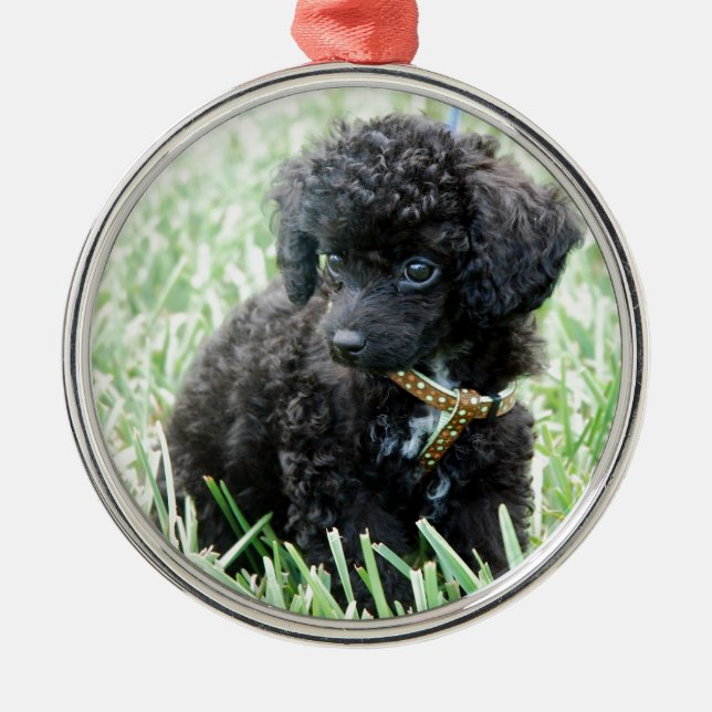 Toy Poodle Puppy Metal Tree Decoration (Front)