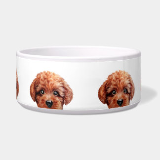 Toy Poodle Reddish Brown, Design by miart