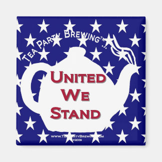 TP0107 United We Stand Magnet