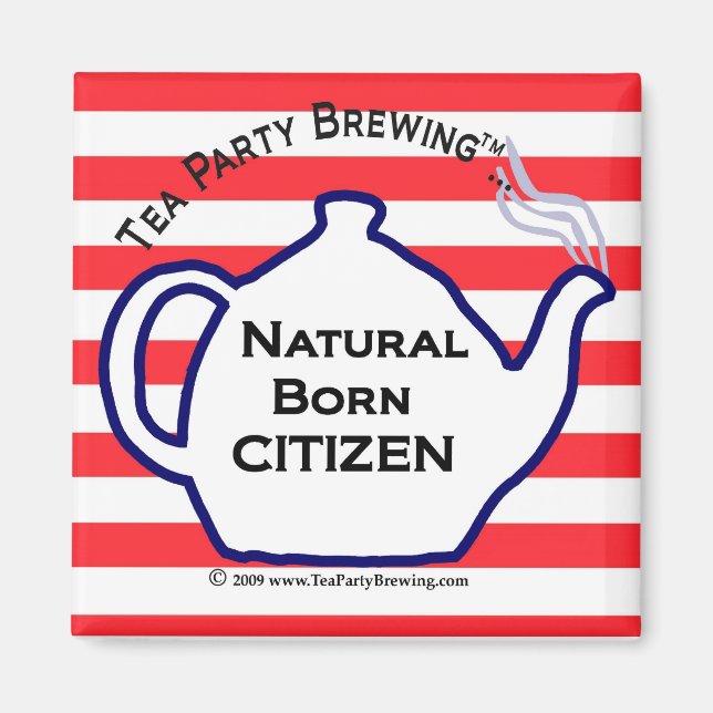 TP0110 Natural Born Citizen Magnet (Front)
