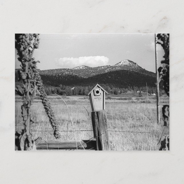 TR Bluebird House Postcard (Front)