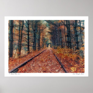 Track Through a Forest Poster