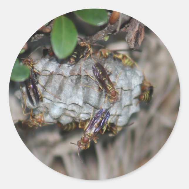 Tracker Jackers #2 Classic Round Sticker (Front)