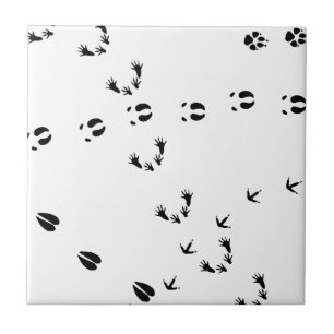 tracks animal spur fährte tier wolf lynx stag tile