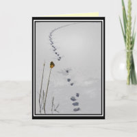 Tracks in the Snow Seasons Greetings