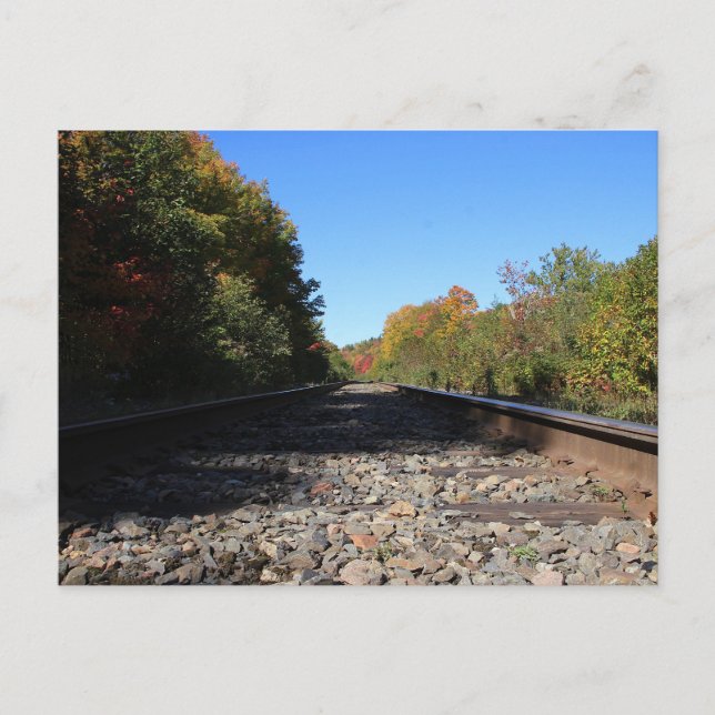 Tracks into Autumn Postcard (Front)