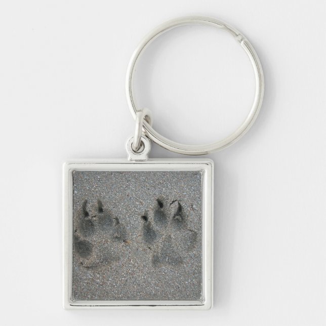 Tracks of dog in sand key ring (Front)