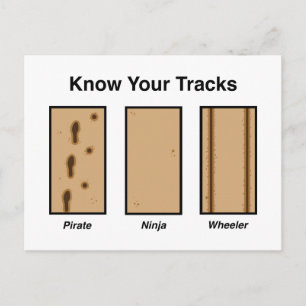 Tracks Postcard