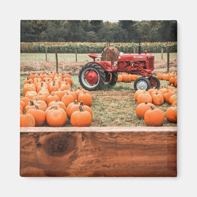Tractor and Pumpkins Magnet (Front)