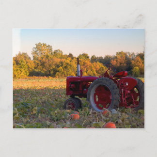 Tractor in a pumpkin field postcard