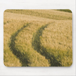 Tractors tracks through wheat, Tuscany, Italy Mouse Pad