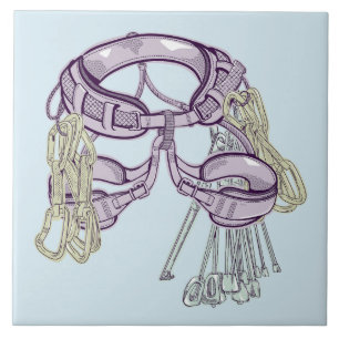 Trad climbing harness and equipment tile