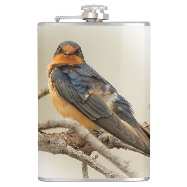 Trading Stares with a Barn Swallow Hip Flask (Front)