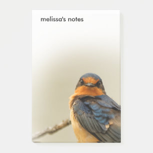 Trading Stares with Stunning Barn Swallow Songbird Post-it Notes