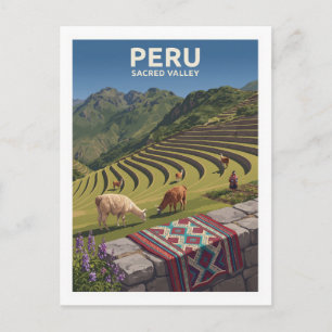 Traditional Andean Terraces and Llamas Pisac Peru Postcard