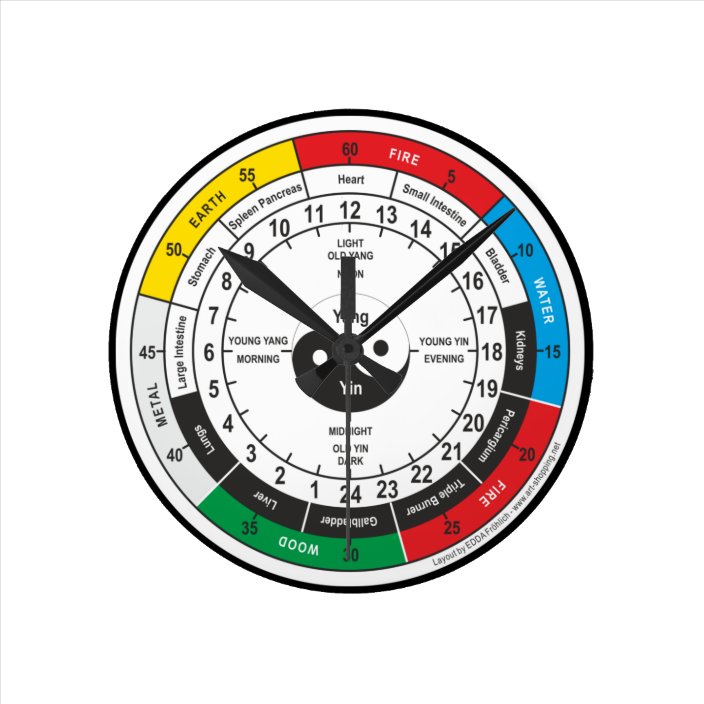 Traditional Chinese Medicine Body Clock Square Sti | Zazzle.co.nz