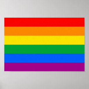 Traditional LGBTQIA+ Pride Flag Poster