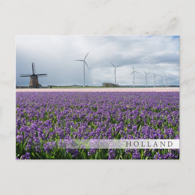 Traditional & modern windmill, Holland bar card (Front)