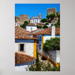 Traditional Red Roof Houses   Portugal Poster