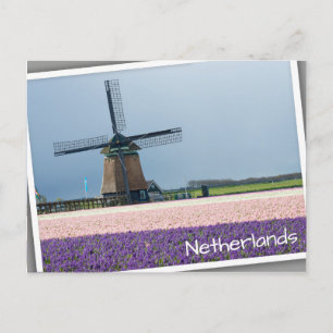 Traditional windmill with pink and purple flowers postcard