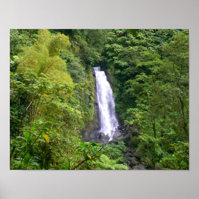 Trafalgar Falls, Dominica, West Indies Caribbean Poster (Front)