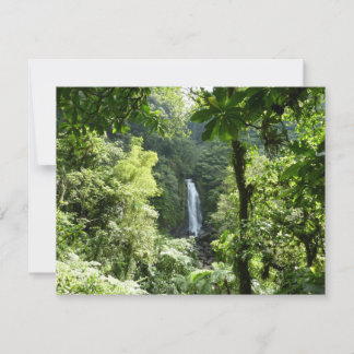 Trafalgar Falls Tropical Rainforest Photography