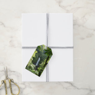 Trafalgar Falls Tropical Rainforest Photography Gift Tags