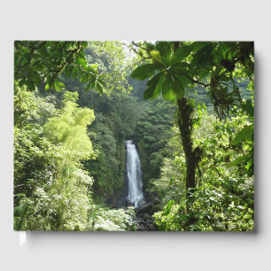 Trafalgar Falls Tropical Rainforest Photography Guest Book