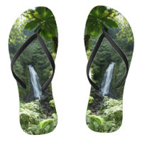 Trafalgar Falls Tropical Rainforest Photography