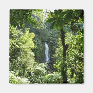 Trafalgar Falls Tropical Rainforest Photography Magnet