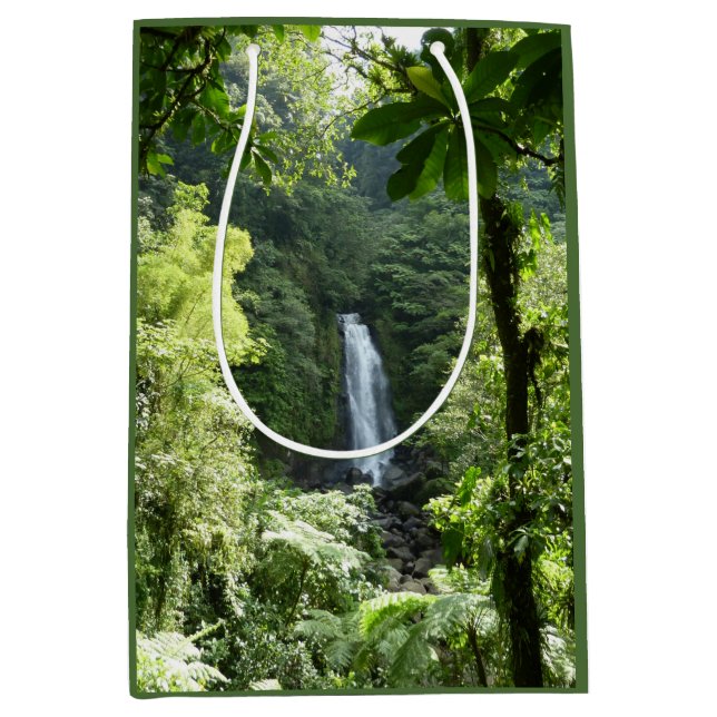 Trafalgar Falls Tropical Rainforest Photography Medium Gift Bag (Front)