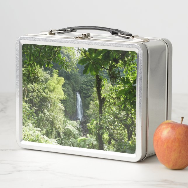 Trafalgar Falls Tropical Rainforest Photography Metal Lunch Box (In Situ)