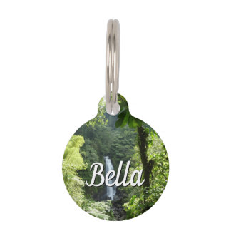 Trafalgar Falls Tropical Rainforest Photography Pet Tag