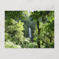 Trafalgar Falls Tropical Rainforest Photography