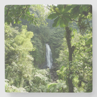 Trafalgar Falls Tropical Rainforest Photography Stone Coaster