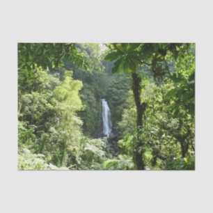 Trafalgar Falls Tropical Rainforest Photography Tissue Paper