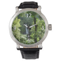 Trafalgar Falls Tropical Rainforest Photography
