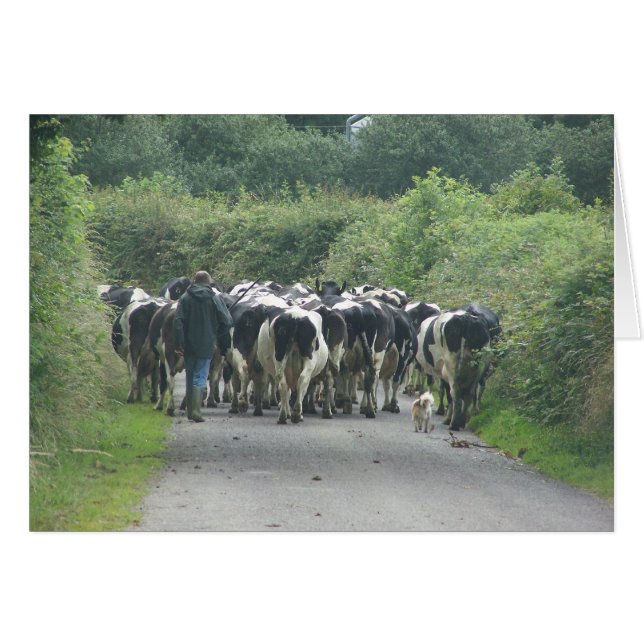 Traffic Jam! (Front Horizontal)