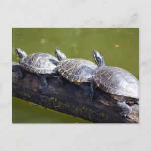 Traffic jam postcard