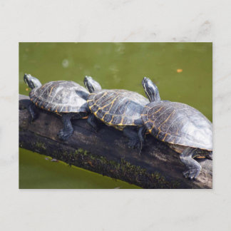 Traffic jam postcard