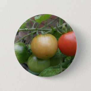 Traffic Light Tomatoes Button
