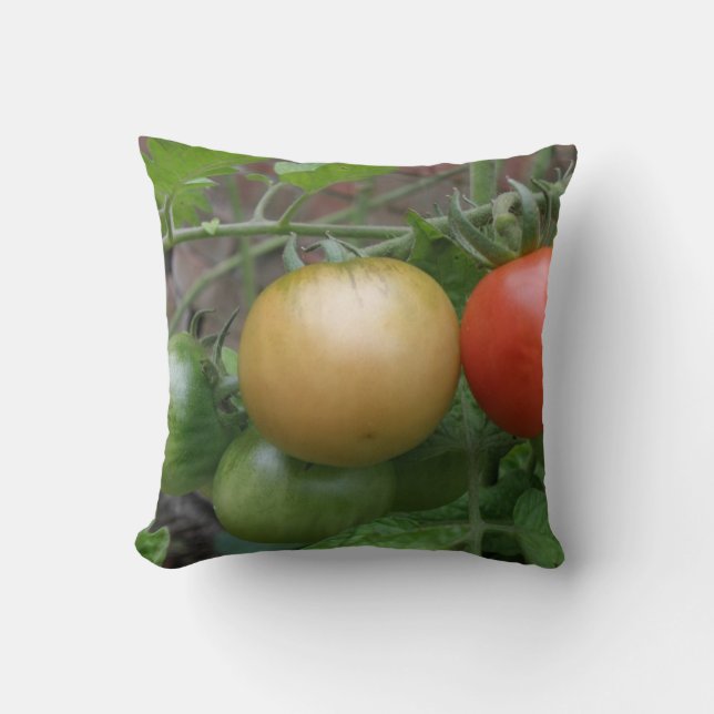 Traffic Light Tomatoes Pillow (Front)